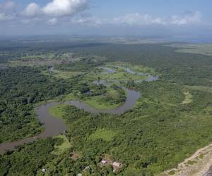 La Biósfera del Río Plátano presenta su mayor deforestación en más de 20 aldeas, siendo la más afectada Krausirpi.