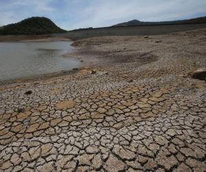 El analista ambiental César Quintanilla advirtió que las lluvias podrían reducirse entre un 40% y 60%, afectando el agua, la agricultura, la generación de energía y la salud de la población.