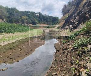 El panorama que se observa en el río Guacerique genera alarma y evidencia los efectos de la sequía sobre las principales fuentes que abastecen a la capital hondureña. El afluente agoniza debido a la falta de lluvias y en su lugar solo ha quedado un escaso hilo de agua.