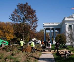 Jardineros trabajando para cambiar el pasto de la Casa Blanca, el lunes 9 de noviembre de 2020, en Washington, EE.UU.