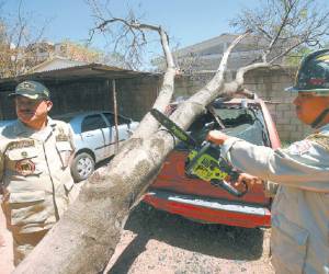 Foto: El Heraldo