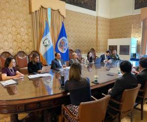 Canciller de Guatemala rechaza en la OEA cuestionamientos al estado de derecho en su país