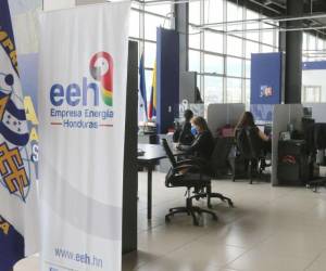 La EEH apenas ha actualizado 61,871 de las acciones realizadas.