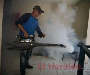 Las acciones de fumigación deben realizarse constantemente en la mañana y en la noche en barrios y colonias.