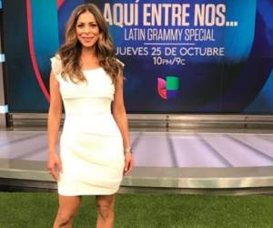 La periodista Lourdes Stephen dejó la cadena Univisión el 15 de enero, sin embargo, fue nuevamente contratada para un nuevo programa.