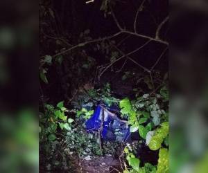 El vehículo en el que se conducía quedó atrapado en la maleza.