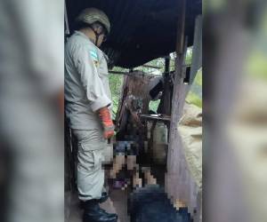 Los cuerpos de los fallecidos quedaron uno al lado del otro.