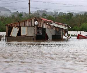 La ONU, junto a Venezuela, Alemania, Noruega, Canadá, Colombia e India, ha enviado ayuda humanitaria y recursos para apoyar la recuperación.