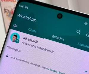 WhatsApp trabaja continuamente en la incorporación de nuevas funciones para su servicio, pero otras personas eligen instalar apps de terceros para tener mayor control.