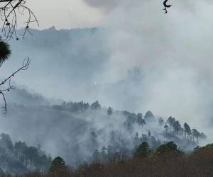 Alrededor de 125 hectáreas fueron afectadas por incendio en La Calera.