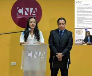 El Consejo Nacional Anticorrupción (CNA) se pronunció tras la renuncia del vocero de la Misión de Apoyo Contra la Corrupción e Impunidad en Honduras (Maccih), Juan Jiménez Mayor.