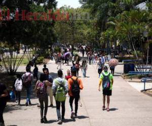 Los estudiantes de la UNAH tendrán la obligación de participar en el proceso electoral de este año.