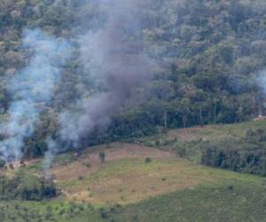 En la remota región selvática, el río Putumayo separa a Perú de Colombia y Ecuador se llevó a cabo la operación.