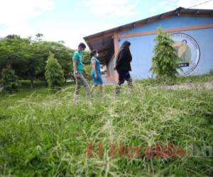 Se debe seguir presionando a las autoridades para rescatar las clases presenciales, dicen sectores.