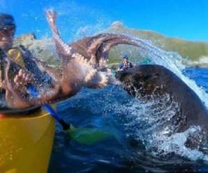 Su amigo, Taiyo Masuda, lo filmó toda la acción con su cámara GoPro. (Foto: Milenio)