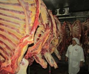 Ante la escasez de ganado, los rastros que operan en Honduras han bajado el destace de reses para abastecer el consumo nacional.