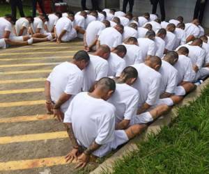 Momento en que guardias penitenciarios cuidan a presos salvadoreños. AFP.