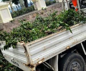 Los vecinos también cuestionan el aspecto que ha dejado la intervención en algunas áreas.