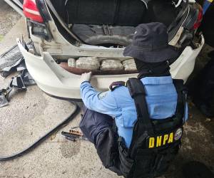 Agentes de la Policía Nacional asignados a la Dirección Nacional de la Policía Antidrogas, encontraron los paquetes de marihuana en compartimiento falso del vehículo turismo.