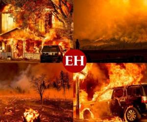Bajo alerta se encuentran varios estados de Estados Unidos por los incendios que han consumido sus bosques, quemado casas y cerrado el paso de importantes carreteras. Fotos: AP