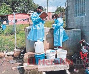 El personal de varias instituciones realiza entregas de BTI, no obstante, el saneamiento en las viviendas es vital para evitar la epidemia. Foto: El Heraldo