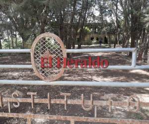 Este oxidado portón 'protege' la entrada del tenebroso edificio en el sector de El Corralito. Foto: Estalin Irías/EL HERALDO.