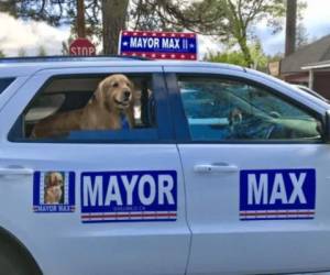 Max deberá cumplir con una apretada agenda como alcalde de la ciudad de Idyllwild en California.