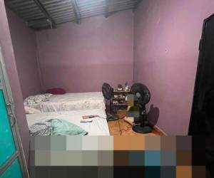 La Policía Nacional confirmó que las tres mujeres asesinadas en El Porvenir, Francisco Morazán, habían realizado una visita conyugal a reclusos del Centro Penitenciario de Siria, ubicado en el municipio de El Porvenir, horas antes de ser asesinadas. El centro penitenciario es un penal de mediana y máxima seguridad en Honduras,
