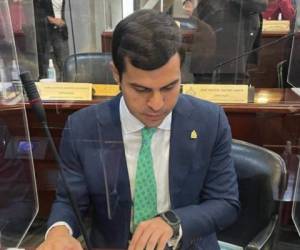 Erasmo Portillo fue elegido como diputado del Congreso Nacional por el departamento de Francisco Morazán. Foto: Twitter.
