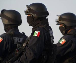 Asesinan a 11 policías en México durante la primera quincena de 2026, según ONG