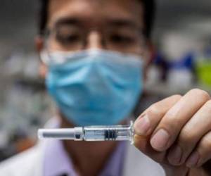 La OMS contabiliza por otro lado 155 proyectos de vacunas en fase preclínica. Foto: AFP
