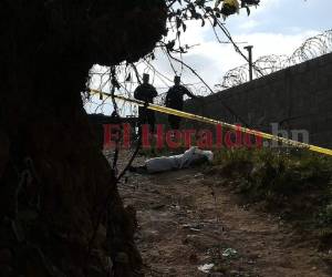El cadáver quedó tirado en la calle y fue descubierto por vecinos de la zona. Foto Estalin Irías| EL HERALDO