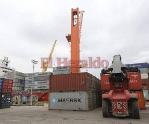 La industria considera que Honduras continuará importando maíz y arroz. Foto EL HERALDO