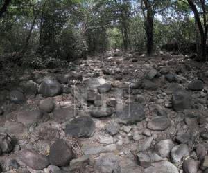 La sequía que golpea a Honduras está afectando principalmente a los municipios de la zona sur, centro y parte del oriente y occidente del país.