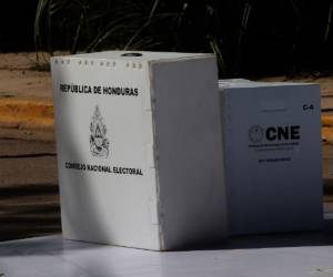 En un 60% se ha distribuido el material electoral de cara a las elecciones generales.