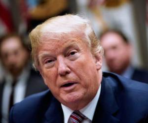 Donald Trump dijo que el único interés de Washington en ese conflicto es eliminar al grupo radical Estado Islámico. Foto: Agencia AFP