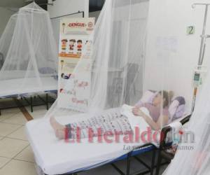 De un total de 151 muertes confirmadas por dengue grave, el 60 por ciento fueron menores de 15 años de edad.