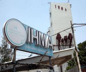 En los silos del IHMA por casi tres años han estado guardados esos frijoles que finalmente se echaron a perder.