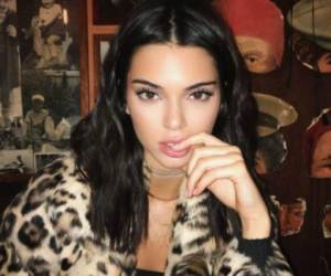 Kendall Jenner además de ser parte del clan Kardashian también es una exitosa modelo. Foto: Instagram