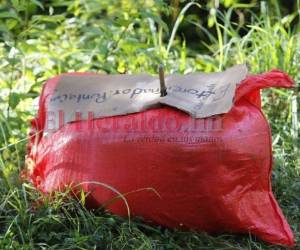 Los 11 cadáveres fueron encontrados en San Pedro Sula, Tegucigalpa, Tela y Santa Bárbara; todos dejados con el escrito “extorsionadores.punto.com”.