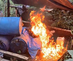 Los agentes de la DNPA localizaron y erradicaron el narcolaboratorio y la plantación de 56 mil arbustos de hoja de coca en un sector montañoso del municipio de San Esteban, Olancho.