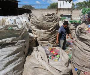 El primer paso es la recolección de botes plásticos.