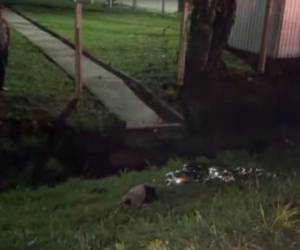El cuerpo del pequeño quedó a la orilla de la pavimentada, donde fue levantado por las autoriudades.
