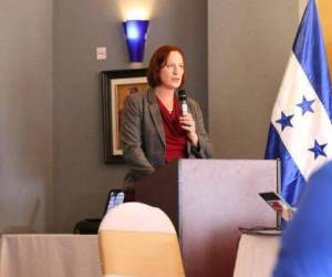 La encargada de Negocios, Fulton, felicito a la nueva ministra Karla Cueva por su nombramiento a cargo de la Secretaría de Derechos Humanos. Foto: Twitter