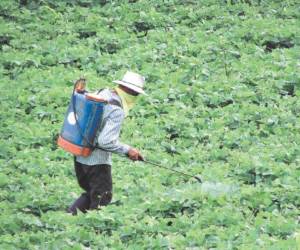 En el acuerdo no detallan cuántos productos en total abarca cada ítem o partida, por lo que resulta difícil definir cuántos son en total los bienes exonerados.