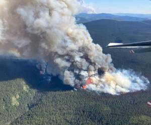 El sábado, 906 incendios estaban activos en el país, incluidos 570 considerados fuera de control. No se salva ninguna provincia canadiense.
