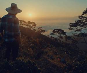 Fotograma del filme. Roger, el protagonista, contempla lo que le dio y le sigue dando para vivir.