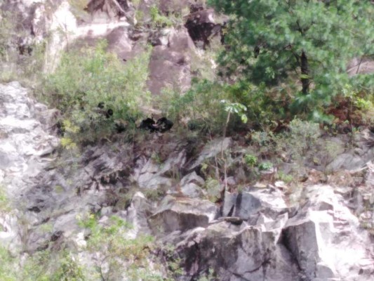 El cadáver fue encontrado entre las rocas del abismo, donde supuestamente fue lanzado.