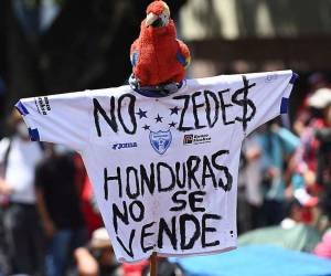 En muchas ocasiones hubo protestas de la población en contra de las ZEDE. Bajo la promesa de Xiomara Castro, el Congreso derogó en abril la Ley de las ZEDE, creada por el Poder Legislativo en 2013.