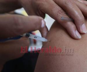 Todos los sectores de la población urgen la llegada de la vacuna. Foto: Alex Pérez/ EL HERALDO